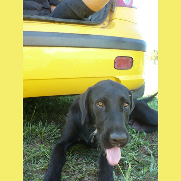 Photo of Rex