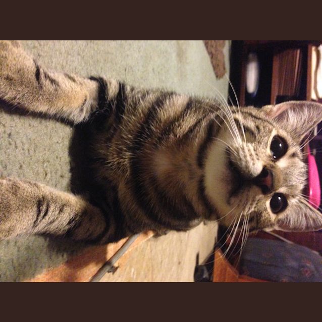 Photo of Jasmine