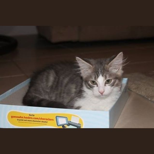 Photo of Leroy
