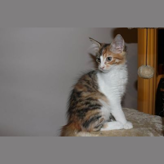 Photo of Lara