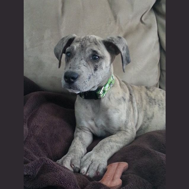 Photo of Mavis