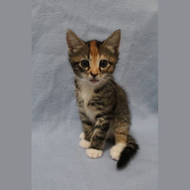 Photo of Elsa