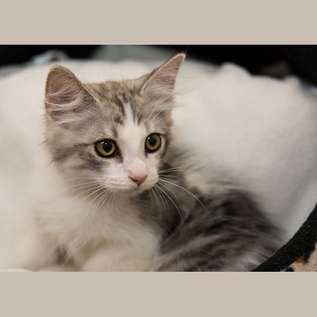 Photo of Asher