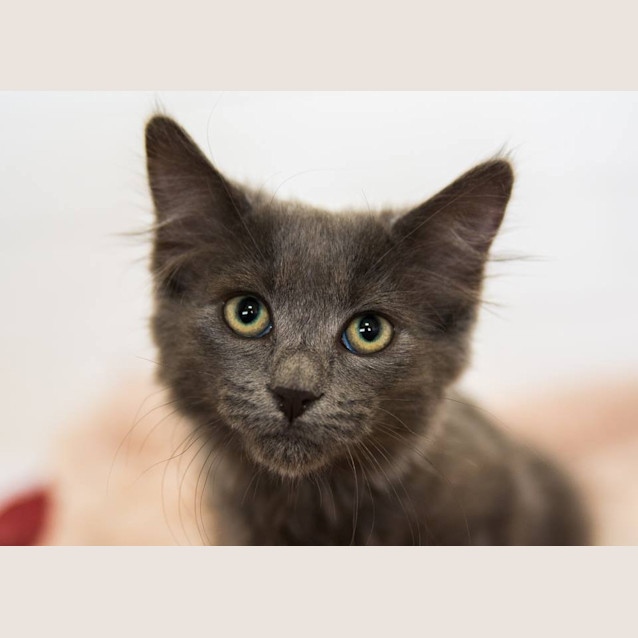 Photo of Skyla