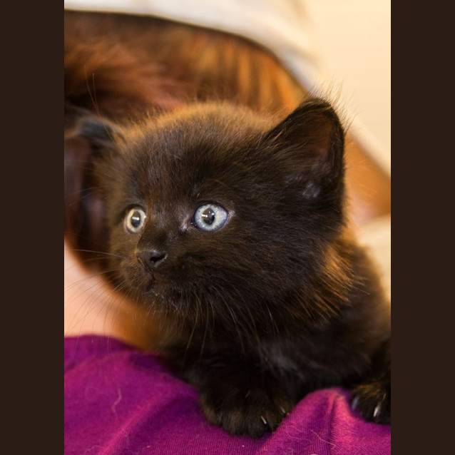 Photo of Rocky
