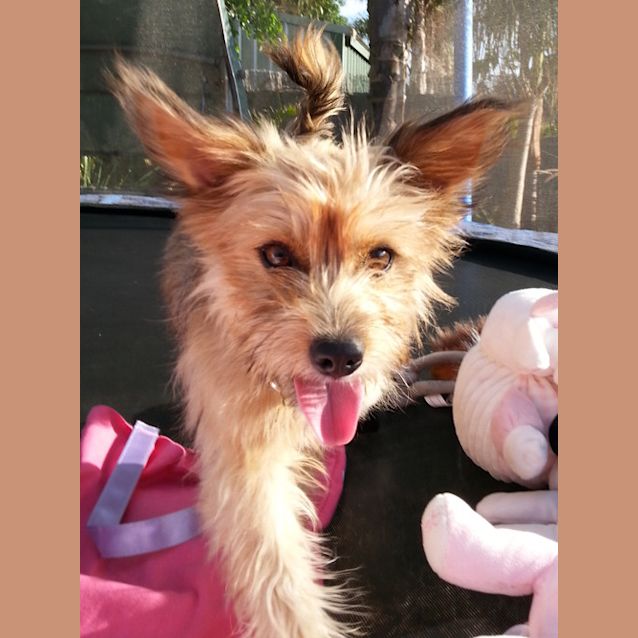 Photo of Mitzi