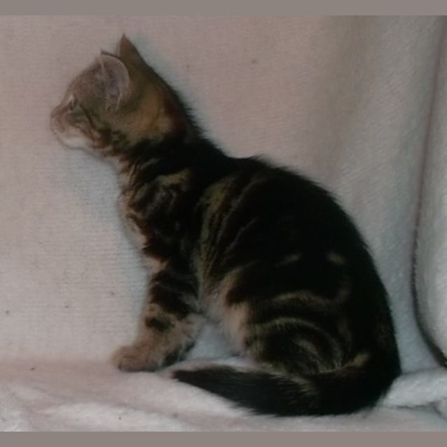 Photo of Betty