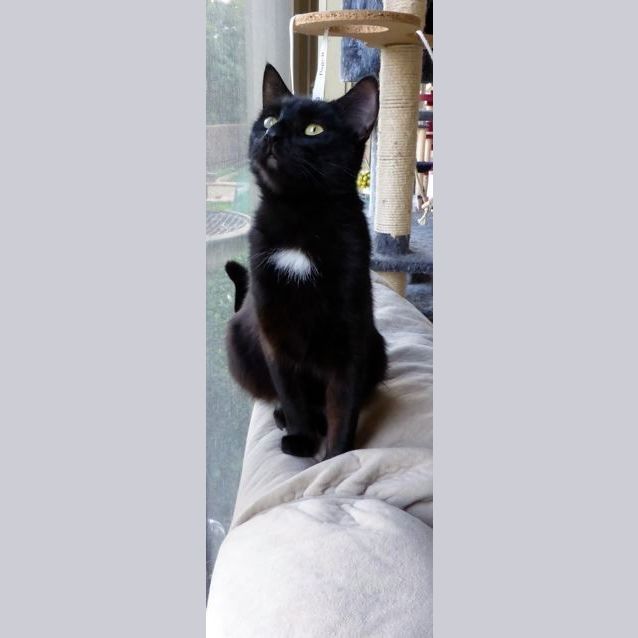 Photo of Lucia