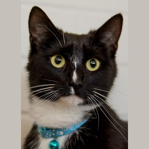 Photo of Luna