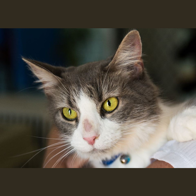 Photo of Mercy