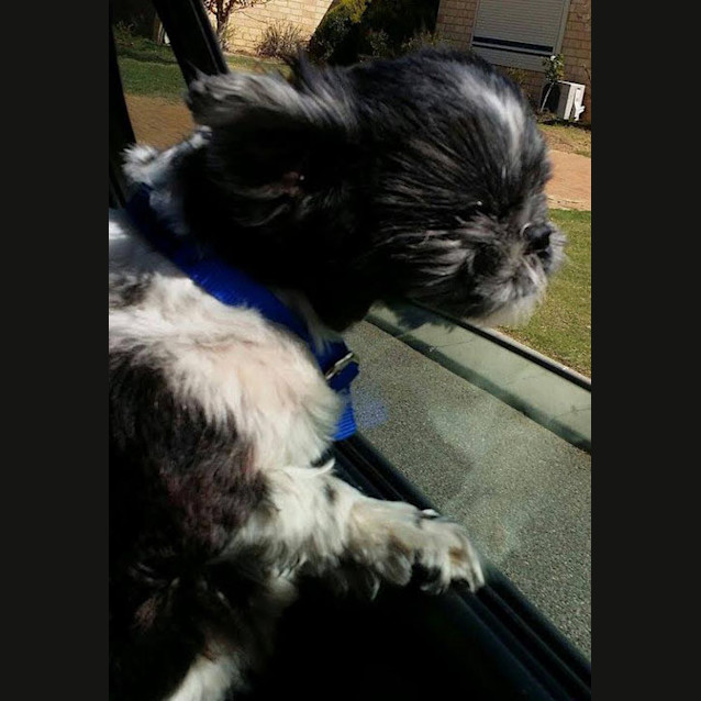 Photo of Leo