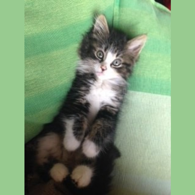 Photo of Baby