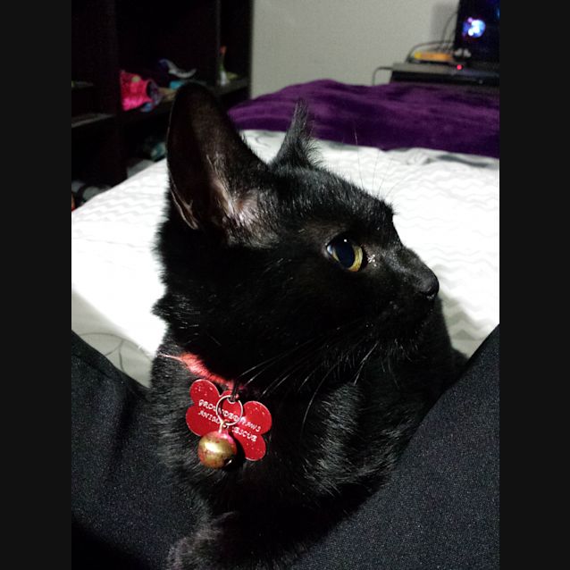 Photo of Tia (Is Ready To Go!)