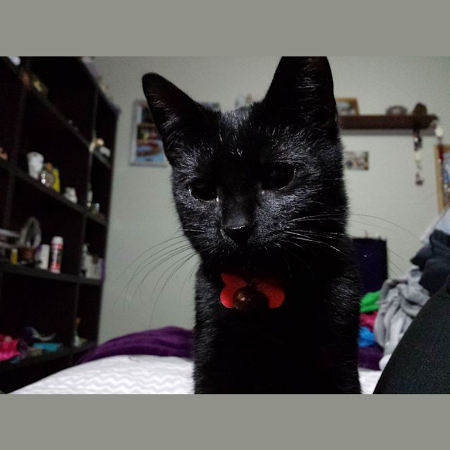 Photo of Tia (Is Ready To Go!)