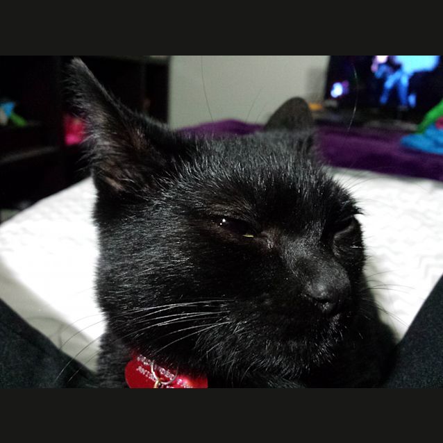 Photo of Tia (Is Ready To Go!)