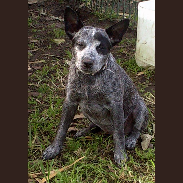 Photo of Jody 