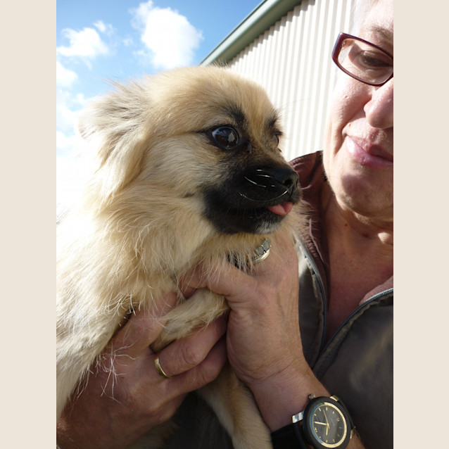 Photo of Pepper D650