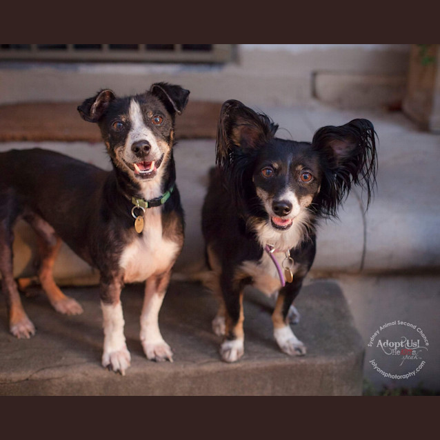 Photo of Jack And Sasha