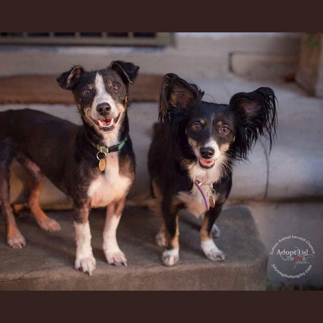 Photo of Sasha And Jack