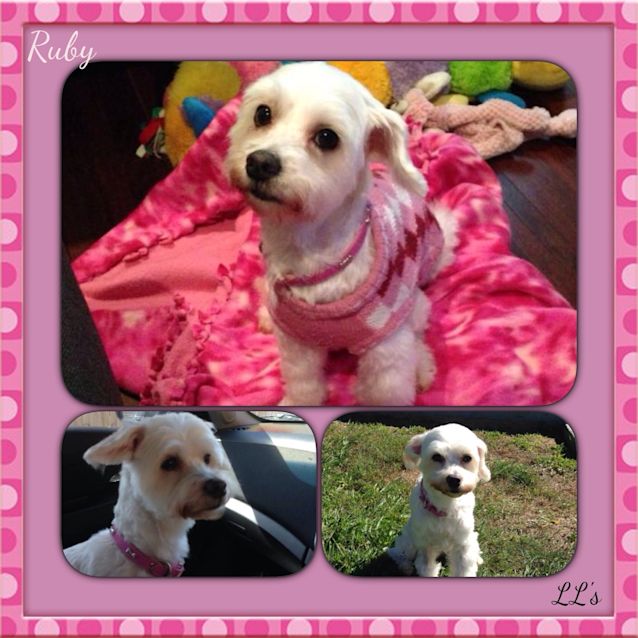 Photo of Ruby