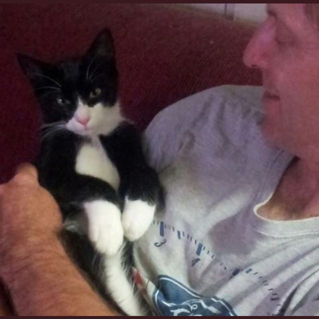 Photo of Marshall Bat Kit