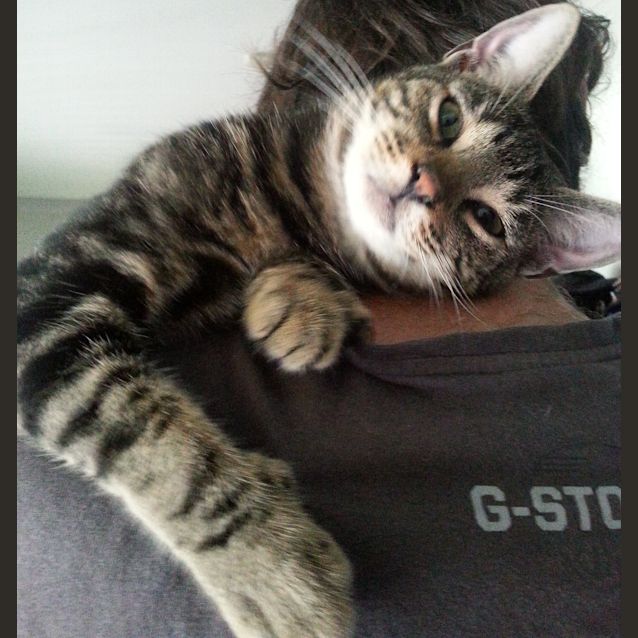 Photo of Jimmy (Jimbo)