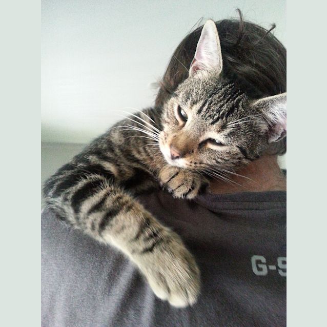 Photo of Jimmy (Jimbo)