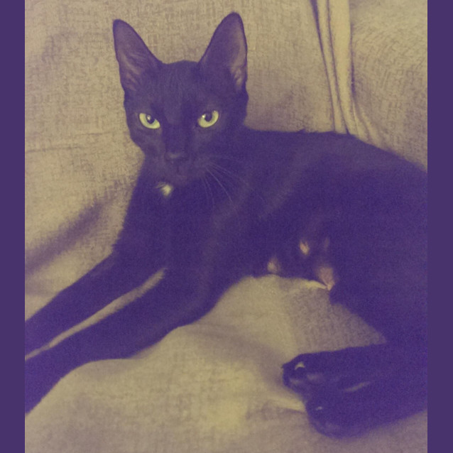 Photo of Diva