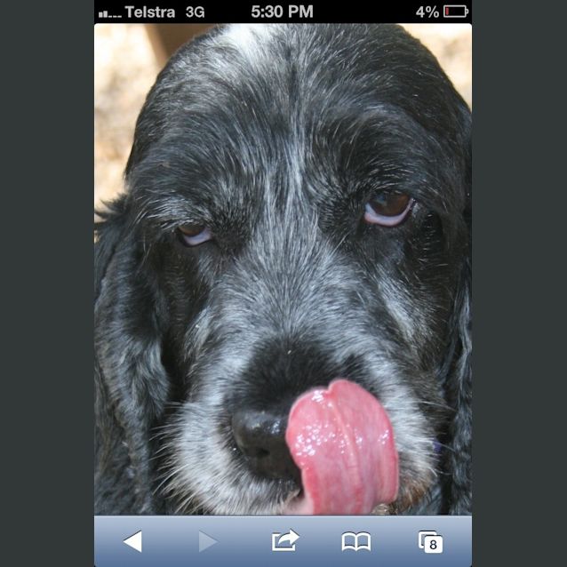 Photo of Tilly