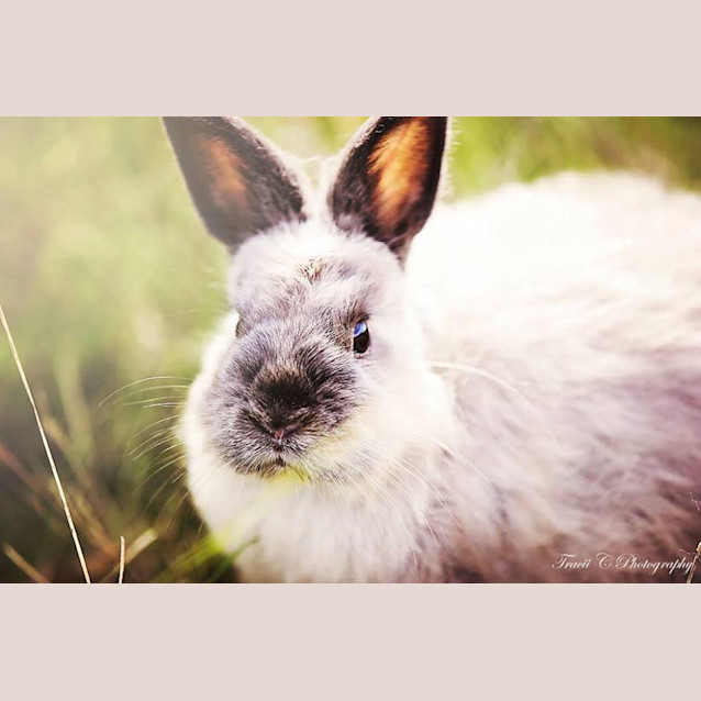 Photo of Roger And Lance