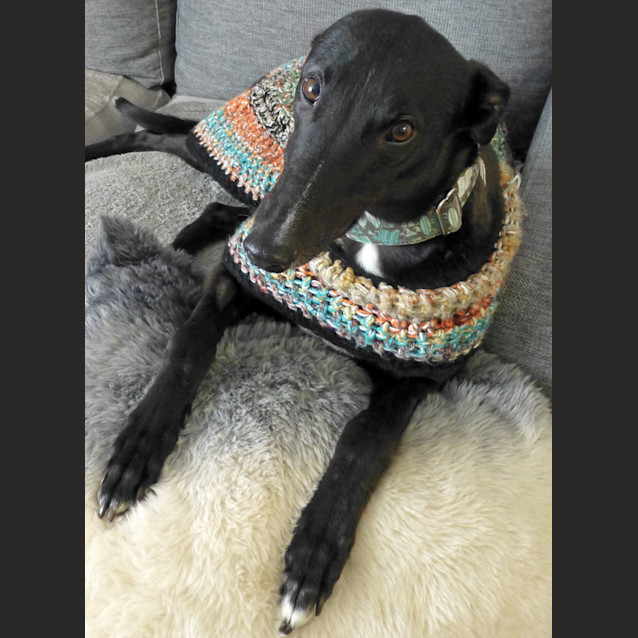 Photo of Marlow Max