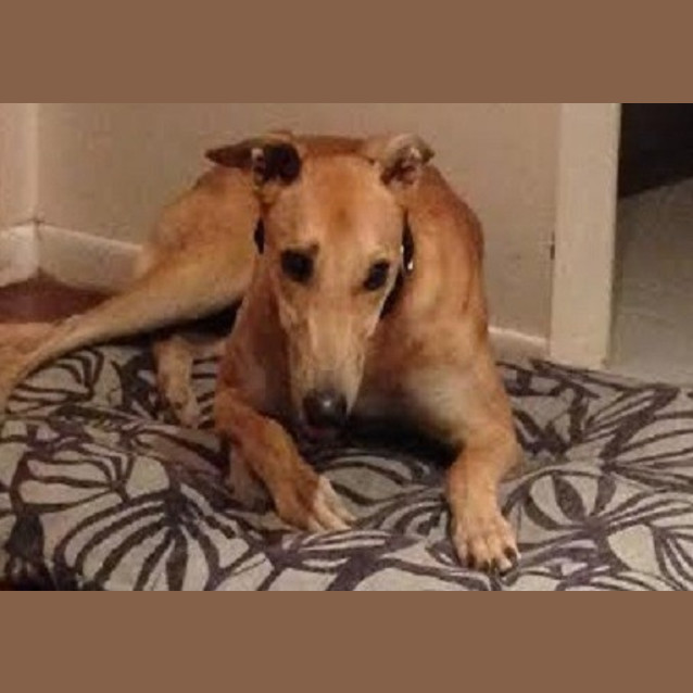 Photo of Bentley