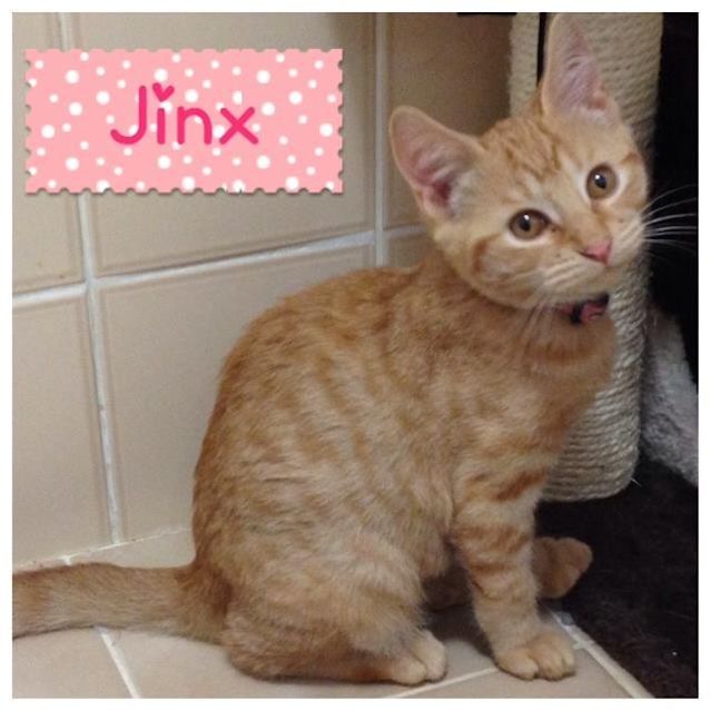 Photo of Jinx