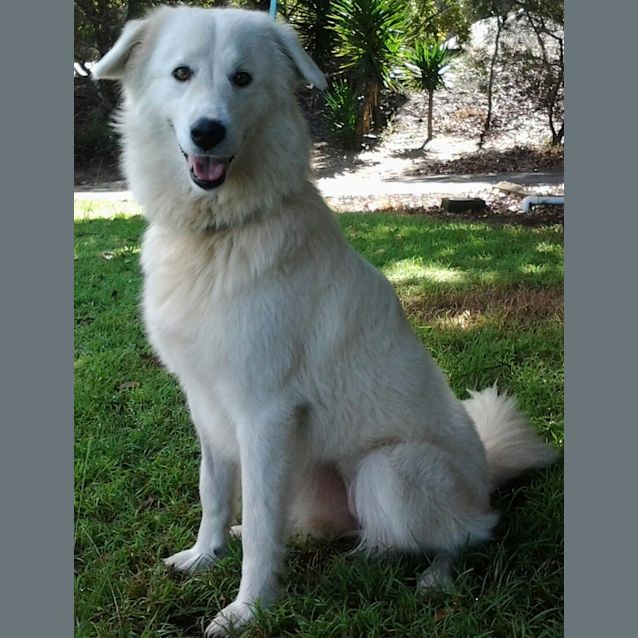 Photo of 091 3383 Holly