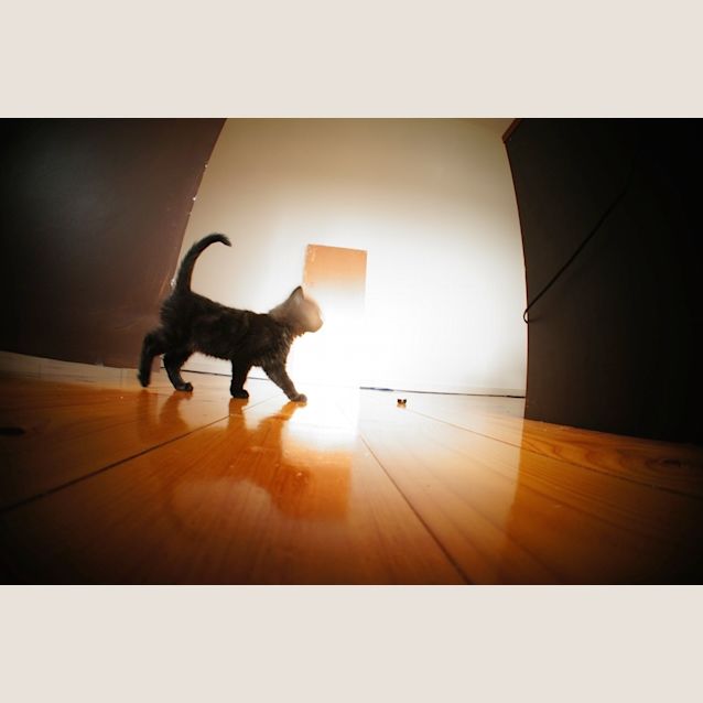 Photo of Happy