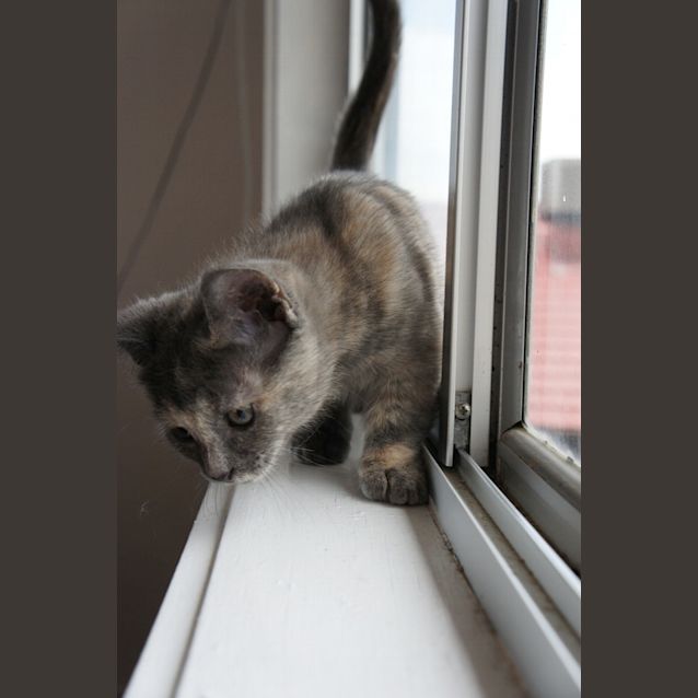 Photo of Bleu