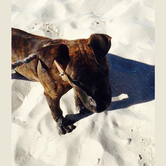 Photo of Ruby
