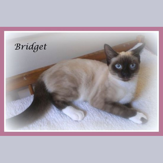 Photo of Bridget