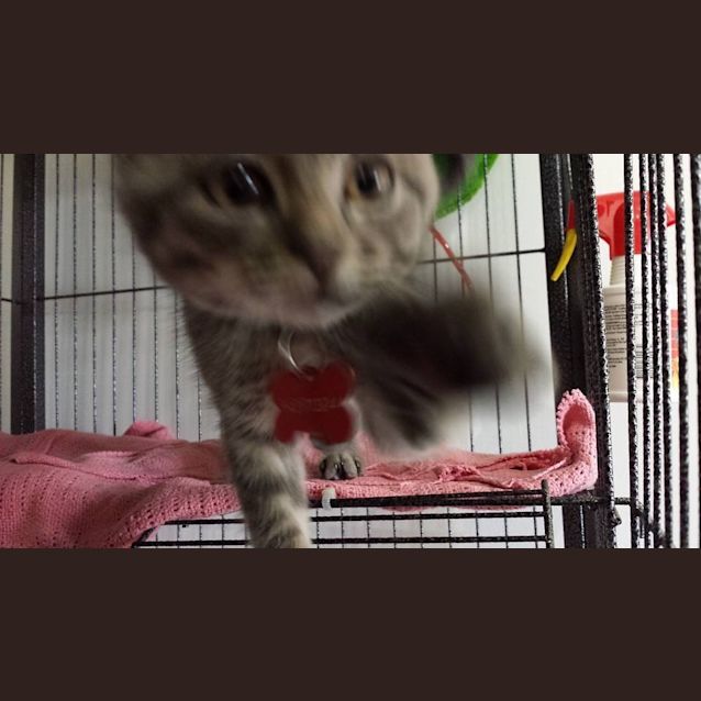 Photo of Bucket (Kid Friendly)