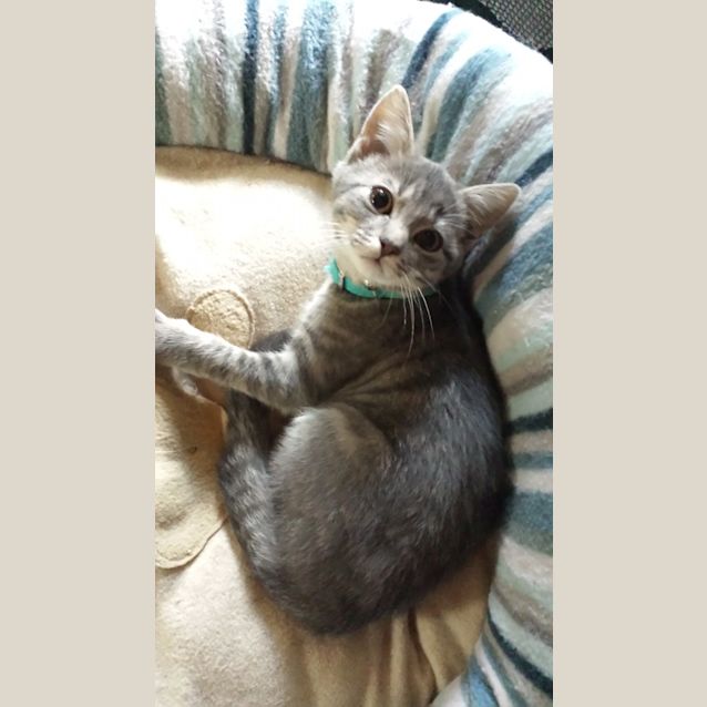 Photo of Bucket (Kid Friendly)