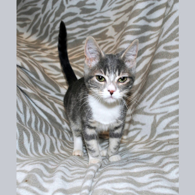 Photo of Mrs. Hudson