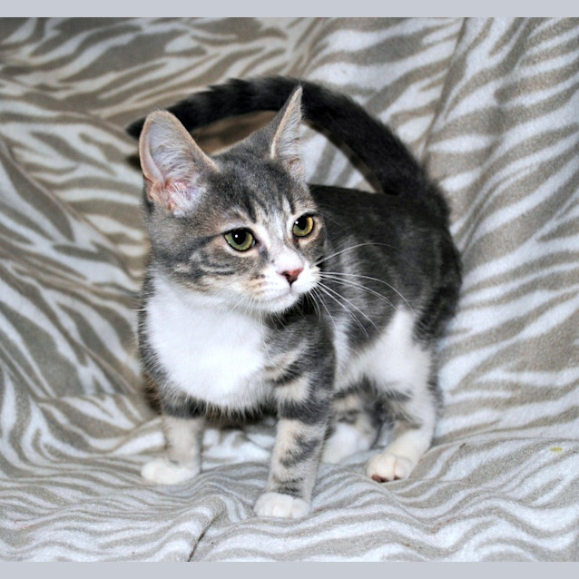 Photo of Mrs. Hudson