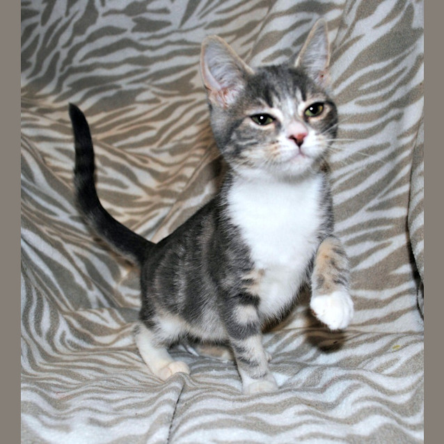 Photo of Mrs. Hudson