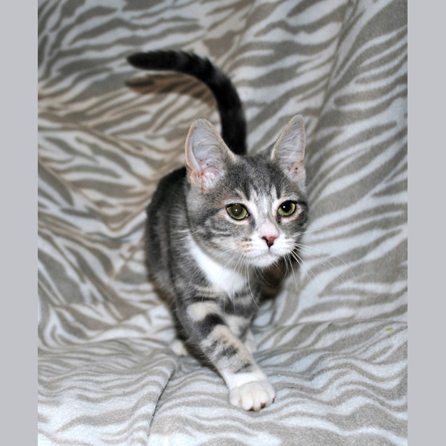 Photo of Mrs. Hudson