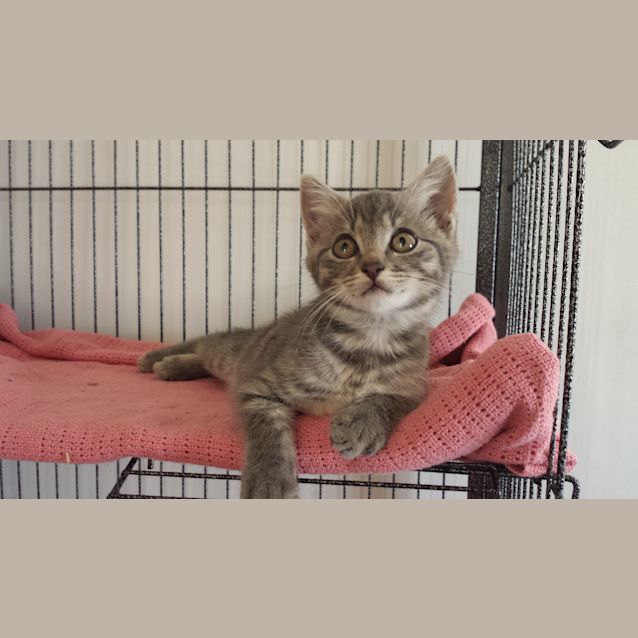 Photo of Bucket (Kid Friendly)