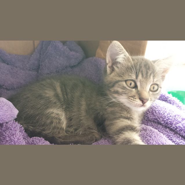 Photo of Bucket (Kid Friendly)