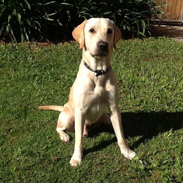 Photo of Junior