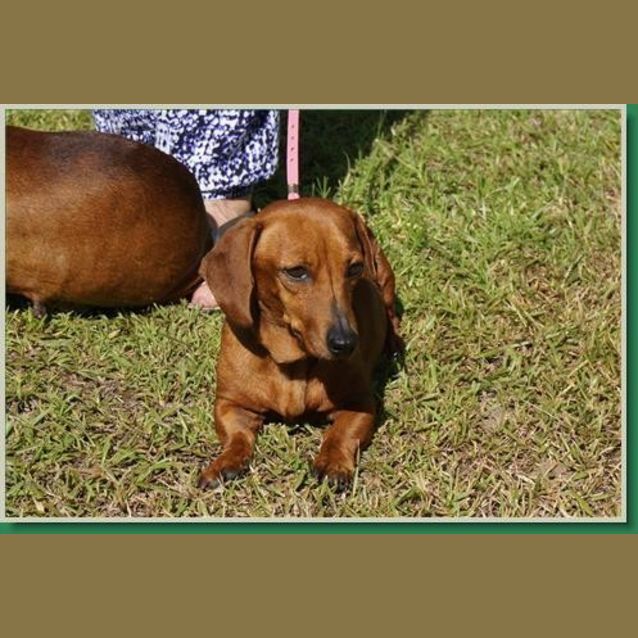 Photo of Heidi And Holly