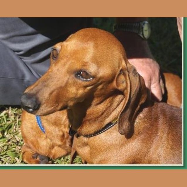 Photo of Heidi And Holly