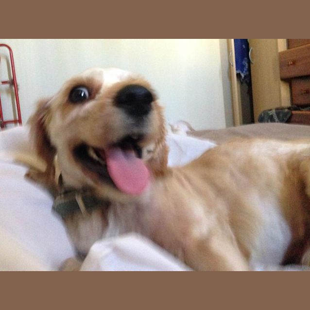 Photo of Marley